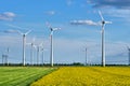 Thriving rapeseed field with wind turbines and power lines Royalty Free Stock Photo