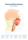 Throat and nose anatomy vector illustration. Blank mouth structure scheme. Royalty Free Stock Photo