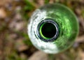 Throat old green bottle in nature Royalty Free Stock Photo