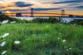 Throgs Neck Bridge with Grass at sunset Royalty Free Stock Photo