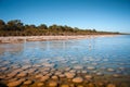 Ancient Thrombolites, Lake Clifton, Western Australia. View to shoreline with trees and clear blue sky background