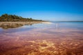 Ancient Thrombolites, Lake Clifton, Western Australia. View to shoreline with trees and clear blue sky background