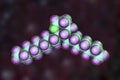 Thromboxane molecule, a lipid eicosanoid