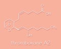 Thromboxane A2 TXA2 molecule. Skeletal formula.