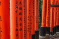 Throusand Torii, Fushima Inari shrine