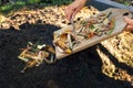 Throwing food leftovers in garden compost pile. recycling organic kitchen waste Royalty Free Stock Photo