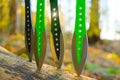 Throwing knives in a log in a sunny forest.Sport and hobby concept. Black metal knives for throwing in a hands on a