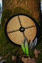 Throwing knives and a round target.Sports equipment. Throwing knives black and green color set and wooden target for
