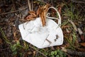 Thrown away or lost mouth masks on the ground in grass