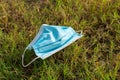 Thrown away or lost mouth masks on the ground in grass, Royalty Free Stock Photo