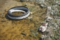 A thrown away tire in a puddle.