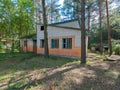 Thrown brick houses with wooden windows in a coniferous forest