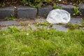 Thrown white bag on green grass with stones curb