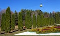 Thuja alley in the park Kislovodsk