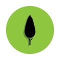 Thuja. Black tree in green badge icon