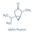 Thujone absinthe molecule, chemical structure. Skeletal formula.