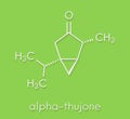 Thujone absinthe molecule, chemical structure. Skeletal formula.