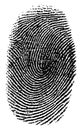 Thumb Print