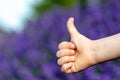 Thumb up gesture showed by a child and some copy-space with blurred lavender flowers on the background