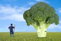 Thumbnail farmer along a broccoli