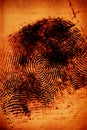 Thumbprint Royalty Free Stock Photo