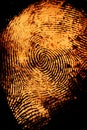 Thumbprint