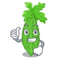 Thumbs up bitter melon gourd on shape cartoon