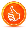 Thumbs up icon natural orange round button Royalty Free Stock Photo