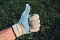 Thumbs up, like and endorsement hands sign from the farmer in wheat seedling field