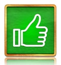 Thumbs up like icon chalk board green square button slate texture wooden frame concept isolated on white background with shadow Royalty Free Stock Photo