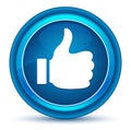 Thumbs up like icon eyeball blue round button