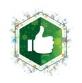 Thumbs up like icon floral plants pattern green hexagon button Royalty Free Stock Photo