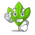 Thumbs up sassafras leaf in the cartoon stem