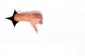 Thump down Hands from torn white Royalty Free Stock Photo