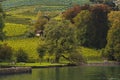 Thun Lake surrounded by Vineyard near Spiez Castle Royalty Free Stock Photo