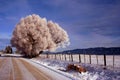 Thunder City Road - Winter Royalty Free Stock Photo