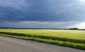 Thunder clouds above wheat field Royalty Free Stock Photo