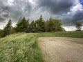 Storm clouds, over a car park, with trees, and wild plants near, Wycoller, Lancashire, UK