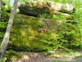 The Thunder Rocks at Allegany State Park