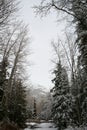 Thunderbird Falls hike on a snowy day Royalty Free Stock Photo