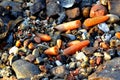 Thunderbolt beach findings sand stones baltic sea