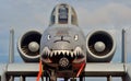 A-10 Thunderbolt II/Warthog
