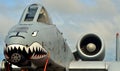 A-10 Thunderbolt II/Warthog