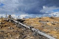 Thundercloud above a dead forest Royalty Free Stock Photo