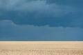 A thundercloud over a field of ripe wheat Royalty Free Stock Photo