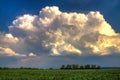 Thundercloud over a green wheat field