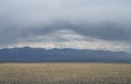 Thunderclouds and rain coming over the steppe Royalty Free Stock Photo