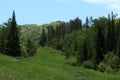 Thunderhead Trail, Steamboat Springs, Colorado Royalty Free Stock Photo