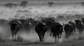 A thunderous herd of stampeding wildebeest charging across an open plain raising up dust behind them created with Generative AI