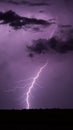 Thunderous Night: Lightning Illuminating the Dark